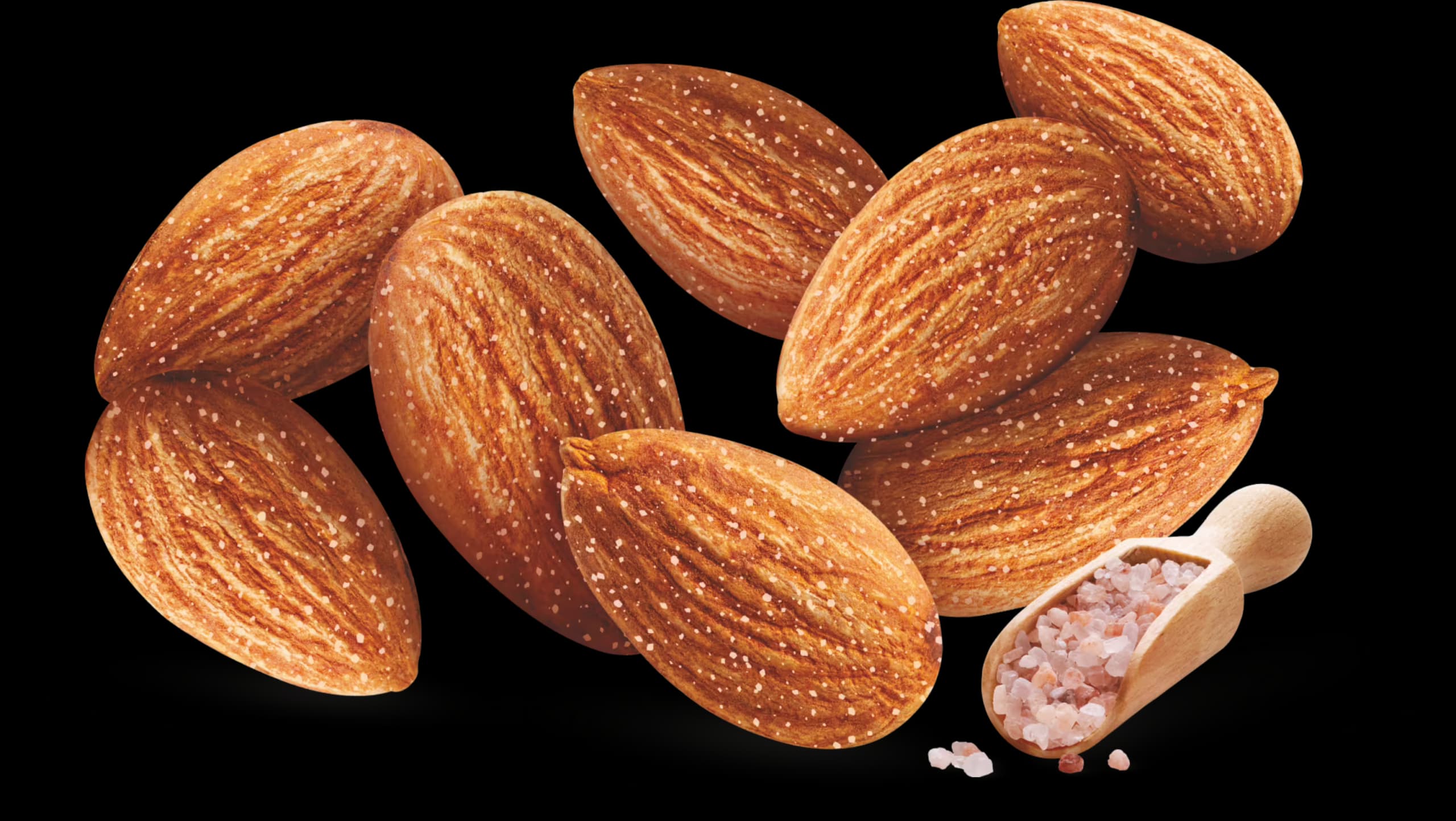 Roasted Salted Almonds
